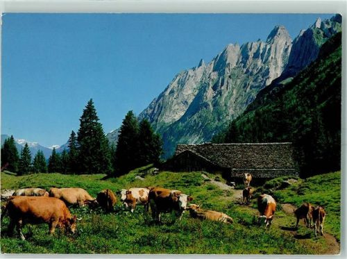 Grosse Scheidegg - Schwandboden am Weg Grosse Scheidegg Schwarzwaldalp Engelhörner
