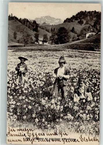 1815 Clarens 1907 - Ort lt. Stempel Narzissenwiese Kinder Tracht