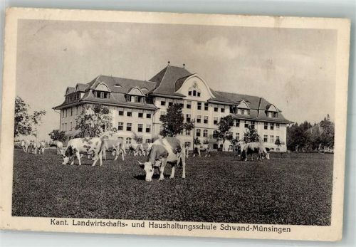 3110 Münsingen 1919 Foto AK Kant. Landwirtschafts- und Haushaltungsschule Schwand