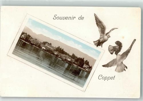 1296 Coppet 1917 Passepartout Tauben