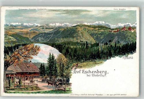8400 Winterthur Lithographie Gasthaus Hof Eschenberg Kyburg sign. Steinmann, C. Schweizer Künstler Postkarte