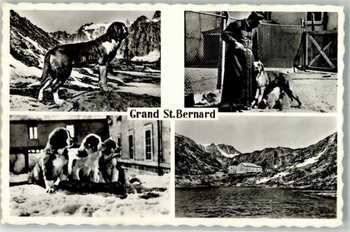 Hospiz Großer Sankt Bernhard Pass Foto AK Mönch Bernhardinerhund Foto Perrochet