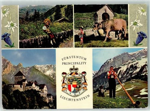 9490 Vaduz - Schloss Falknis Nationaltracht Alpabfahrt Kuh Glocke Wappen Alphorn