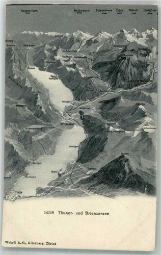 Thun Vogelschau Thunersee Brienzersee Motiv Schweiz Foto AK