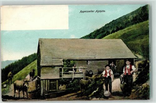 9050 Appenzell - Appenzeller Alphütte Sennen Kühe