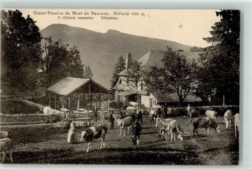1446 Baulmes - Chalet-Pension du Mont de Baulmes Altitude Rindviehherde