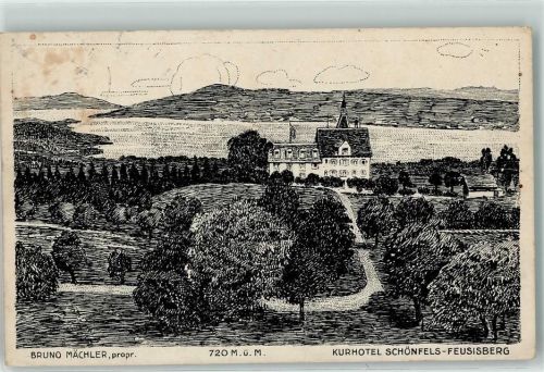8835 Feusisberg 1918 - Kurhotel Schönfels