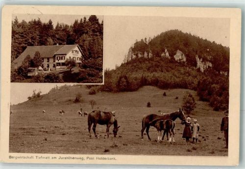 4718 Holderbank SO 1921 - Berggasthaus Tiefmatt am Jurahöhenweg Pferd Kuh