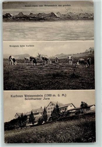 4500 Solothurn Soleure - Berner-Alpen vom Weissenstein gesehen Weidplatz beim Kurhaus Kühe Kurhaus Weissenstein