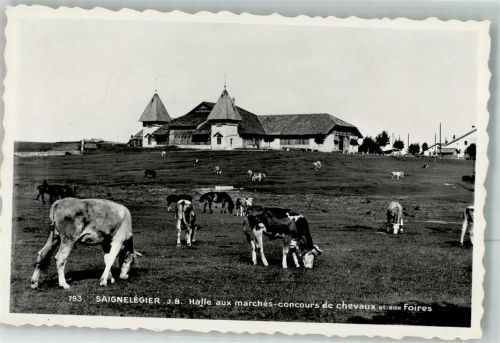 2350 Saignelégier 1954 Foto AK Halle aux marchés