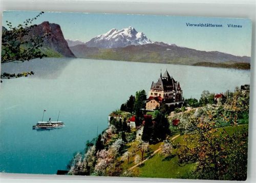 6354 Vitznau Foto AK Park- Hotel Vierwaldstädter See