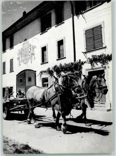 8213 Neunkirch - Bauernhof Pferde