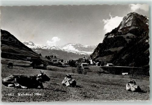 6067 Melchtal - Kühe