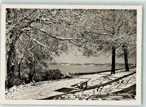 3000 Bern Berne - Winter Nebelmeer