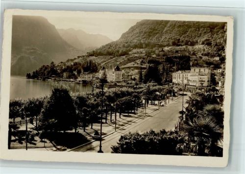 6900 Paradiso - Bäume