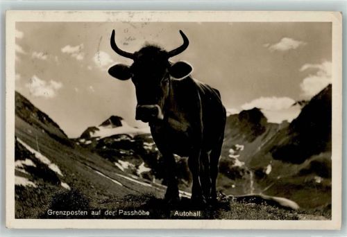 6363 Fürigen - Ort lt. Stempel Kuh Grenzposten