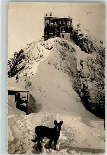 Schwägalp - Winter Säntisgipfel Hund