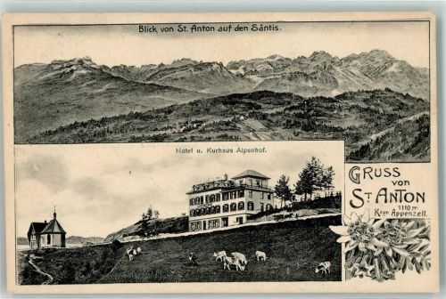 9413 Oberegg 1907 - Hotel u. Kurhaus Alpenhof Kühe St. Anton