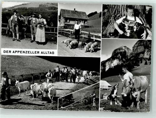 9050 Appenzell - Appenzeller Alltag