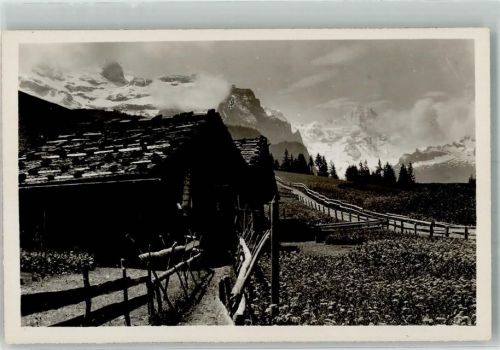 3823 Wengen Foto AK Wengernalp