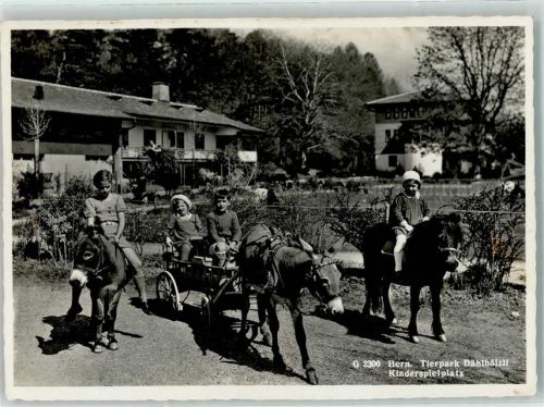 3000 Bern Berne - Tierpark Dählhölzli Kinderspielplatz Pony Esel Eselkarre