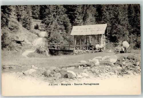 1875 Morgins - Source Ferrugineuse