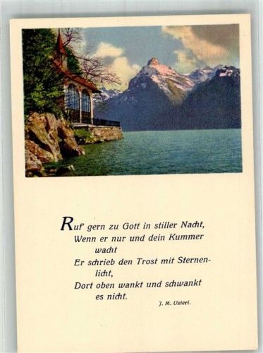 6452 Sisikon Foto AK Tellskapelle