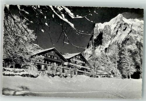3818 Grindelwald 1965 Winter Hotel Adler