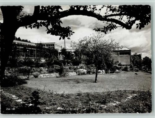 8000 Zürich - Zoo Bäume