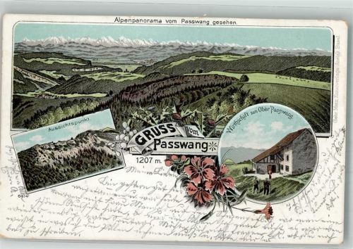 4717 Mümliswil 1899 Lithographie Gasthaus zum Ober Passwang Alpenpanorma