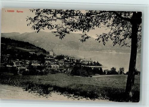 3700 Spiez - Baum