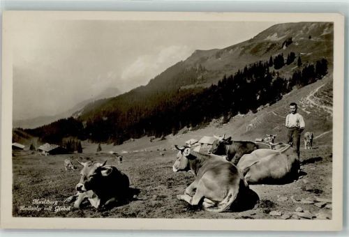 6083 Hasliberg Hohfluh - Balisalp mit Giebel Kuhherde