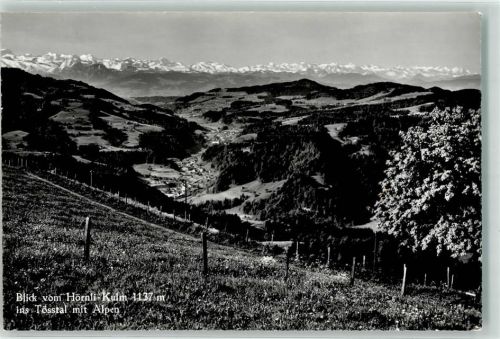8496 Steg im Tösstal - Tösstal Hörnli-Kulm