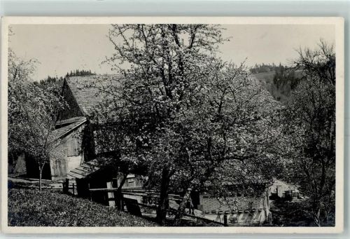 8492 Wila Ottenhub 1924