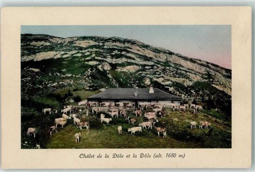 La Dole - Chalet Kühe auf der Weide