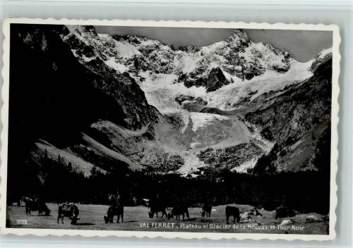 Le Ferret - Plateau et Glacier de la Neuvaz et Tour Noir