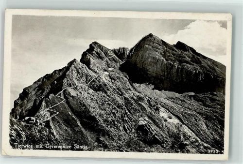 Tierwis - Gyrenspitze Säntis Bahnpost Ambulant 3602