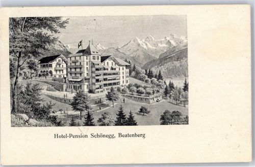 3803 Beatenberg Lithographie Hotel Pension Schönegg