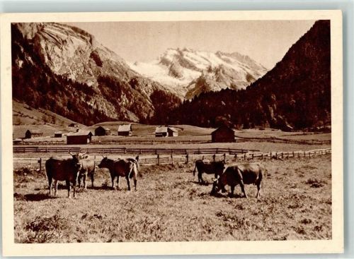 9657 Unterwasser - Kühe Obertoggenburg