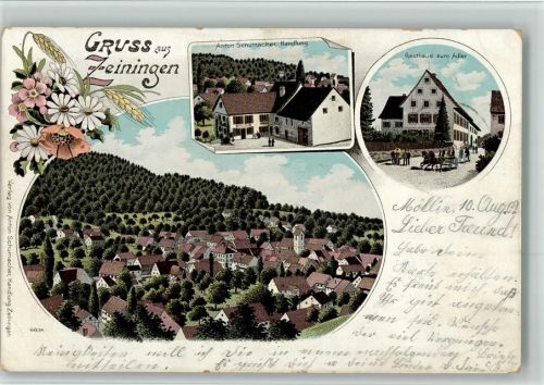 4314 Zeiningen 1902 BOAKC Handlung Schumacher Gasthaus Adler Lithographie