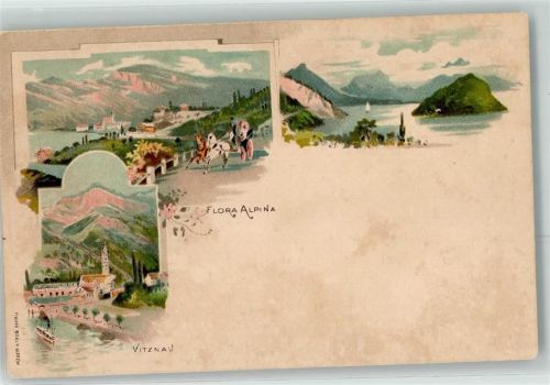 6354 Vitznau Lithographie Flora Alpina