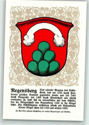 8158 Regensberg - Nr. 10 sehr gute Erhaltung AK