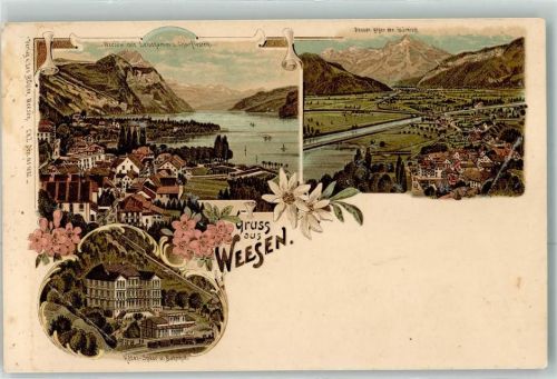 8872 Weesen Lithographie Hotel Speer Bahnhof Eisenbahn Glärnisch Leistenkamm Churfirsten Edelweiss