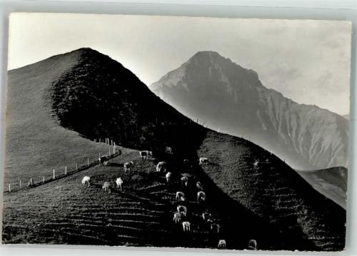 3715 Adelboden BE Foto AK Alpweide