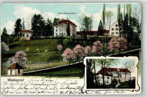 8820 Wädenswil 1906 Gebrauchsspuren Obst u. Weinbauschule