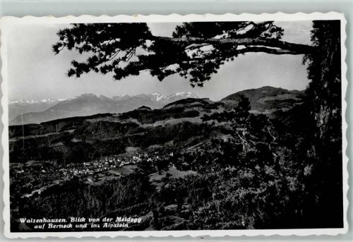 9428 Walzenhausen - Berneck Alpstein