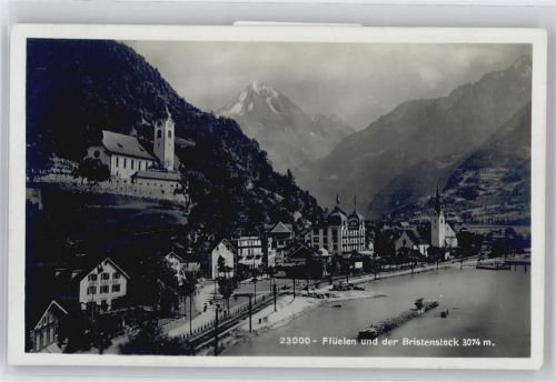 6454 Flüelen - Bristenstock