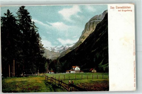 6390 Engelberg - Das Eienwäldchen
