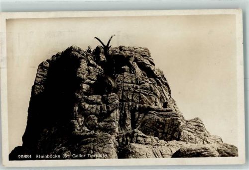 9000 St. Gallen S. Gallo - Tierpark Steinböcke