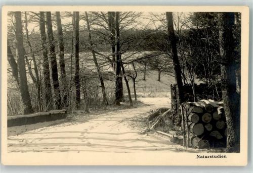 8200 Schaffhausen Sciaffusa - Winter Engewald